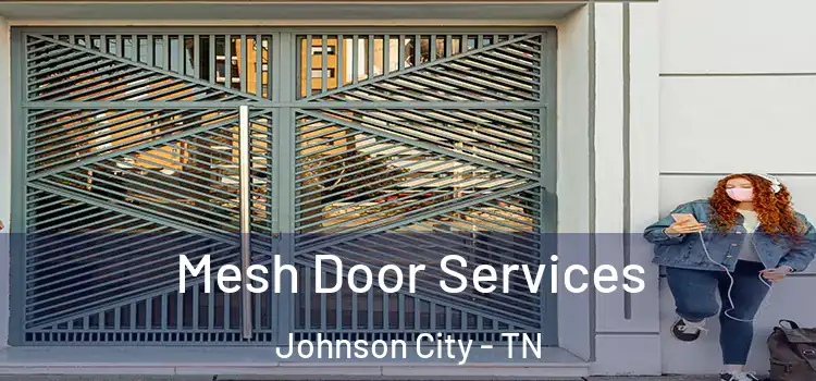 Mesh Door Services Johnson City - TN