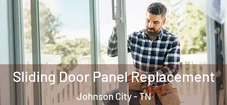  Sliding Door Panel Replacement Johnson City - TN